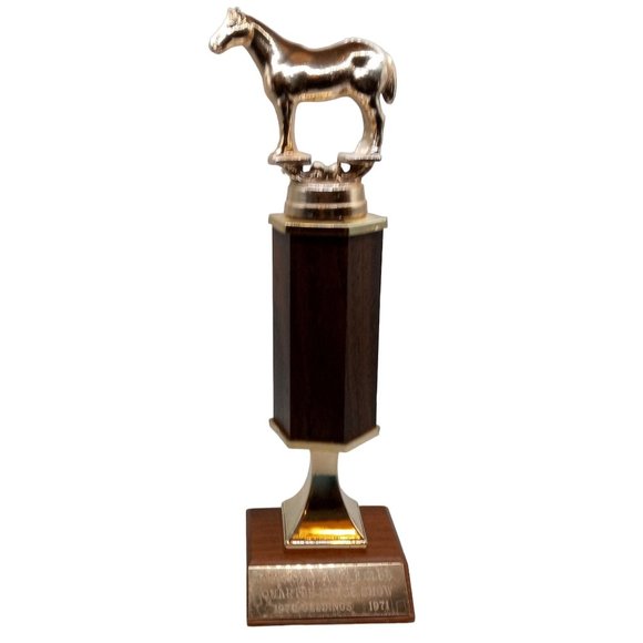 1971 Quarter Horse Trophy Vintage Augusta Kansas Cowboy Collectible Statue Rodeo - Picture 1 of 16